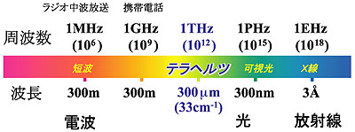 テラヘルツ